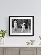 Next Brookpace Lascelles BlackWhite Cricket in the Park Wall Art 50 x 40cm- Buy online at McGrocer