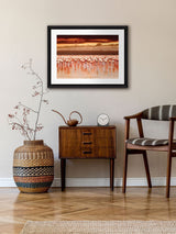Next Brookpace Lascelles Flamingo's Multi Black Wall Art in Gloss Finish Studio Frame 81 x 61 cm- Buy online at McGrocer