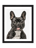 Brookpace Lascelles black white dog wall art 40x50cm - British product