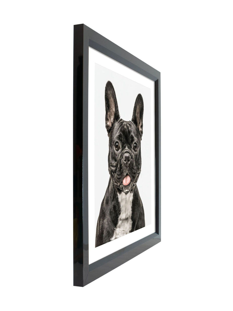 Brookpace Lascelles black white dog wall art 40x50cm - British product