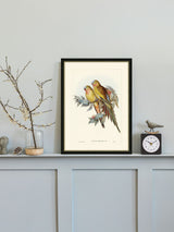 Next Brookpace Lascelles Multi Black Wall Art, 53.5 x 43cm- Buy online at McGrocer