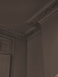 Abigail Ahern Dewdrop Moss paint sample A5 (British brand)