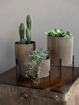 Next Libra Interiors Gold Set of 3 Metal Planters- Buy online at McGrocer