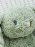 My 1st Years personalised bunny soft toy sage green, UK version