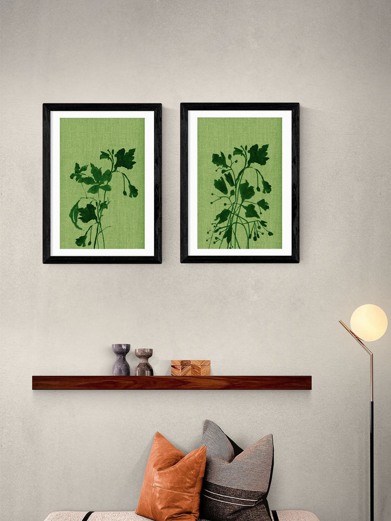 Cartissi black Terre Verte wall art prints - British product