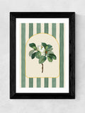 East End Prints Black Stripey Magnolia Wall Art Print - British product