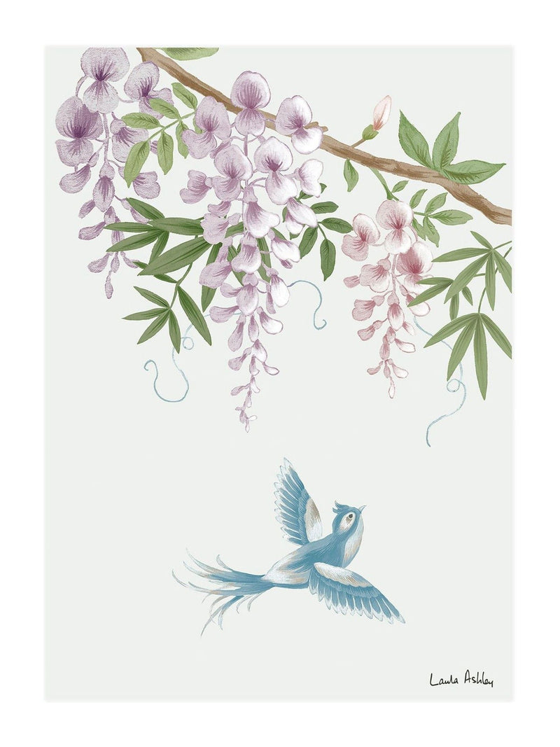 Laura Ashley White Rowsham Garden Medium Wall Art Frame, UK version