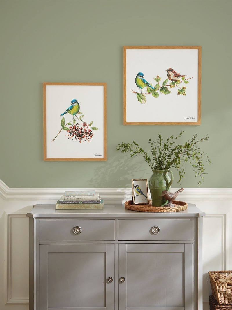 Laura Ashley sparrow and blue tit bird wall art frame 53cm x 53cm, UK version