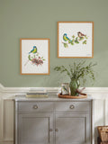 Laura Ashley sparrow and blue tit bird wall art frame 53cm x 53cm, UK version