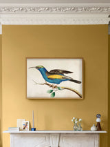 Next Graham & Brown Ready for Flight Multicolour Bird Framed Print- Buy online at McGrocer