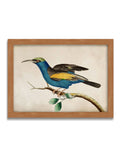 Graham & Brown Ready for Flight bird framed art, UK version
