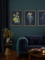 Next Graham & Brown Glasshouse Bluebell Wood Frame Multicolour- Buy online at McGrocer