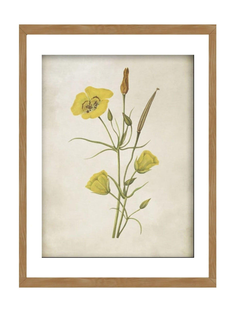 Graham & Brown Golden Wildflower framed art yellow bouquet - British product