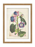 Graham & Brown multicolour Botanique Jungle Bloom frame, imported from the UK