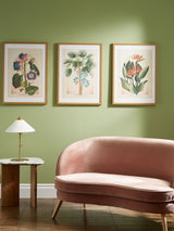 Next Graham & Brown Multicolour Botanique Jungle Exotic Floral Wood Frame- Buy online at McGrocer