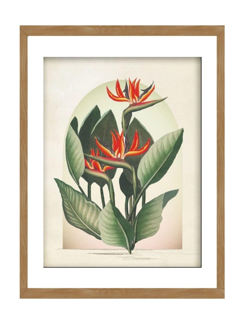 Graham & Brown exotic floral wood frame - British product