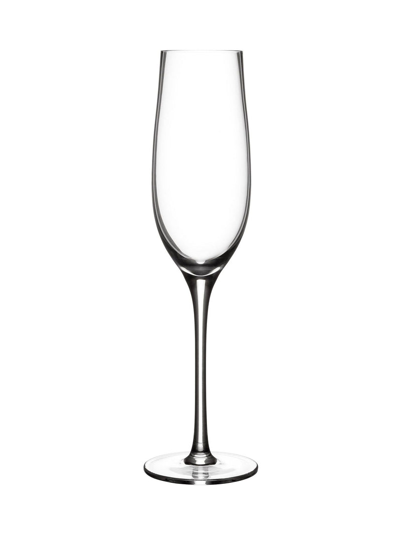 Judge set of 4 clear champagne glasses 26cm - British product