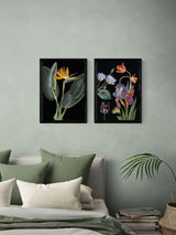 Next East End Prints Natural History Museum Black Dark Florals Art Prints Set of 2- Buy online at McGrocer