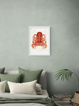 Next East End Prints White Octopus Wall Art Print by Natural History Museum- Buy online at McGrocer