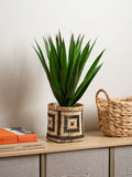 Scottish Everlastings faux aloe plant in basket 55cm (British brand)