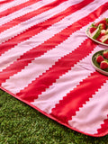 Wylder pink birdie stripe picnic blanket, UK version