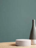 Graham & Brown 1946 resistance matt emulsion paint (British brand)