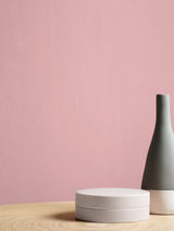 Next Graham & Brown Aliza Resistance Matt Emulsion Paint- Buy online at McGrocer