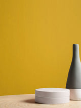 Next Graham & Brown Lioness Resistance Matt Emulsion Paint- Buy online at McGrocer