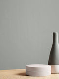 Graham & Brown Londinium Resistance matt emulsion paint, imported from the UK