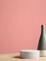 Next Graham & Brown Popsicle Resistance Matt Emulsion Paint- Buy online at McGrocer