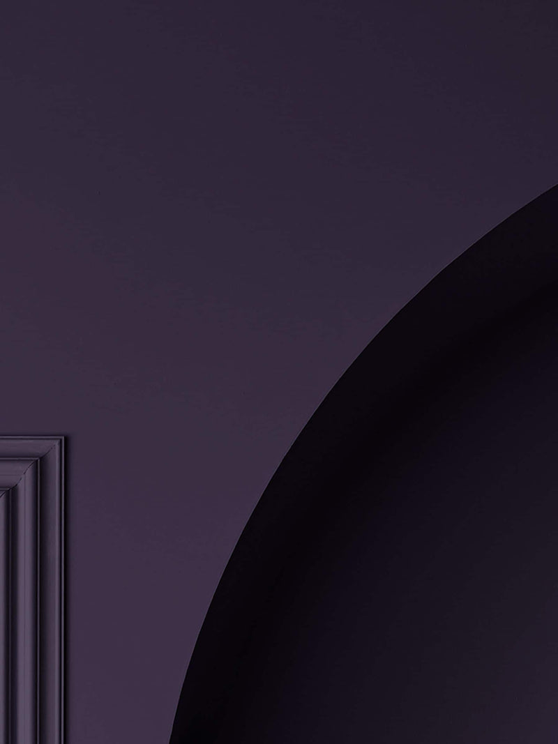 Graham & Brown Buddleia matt emulsion paint, imported from the UK