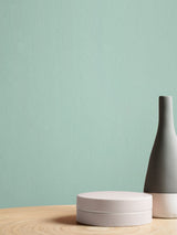 Next Graham & Brown Coastal Retreat Resistance Matt Emulsion Paint- Buy online at McGrocer