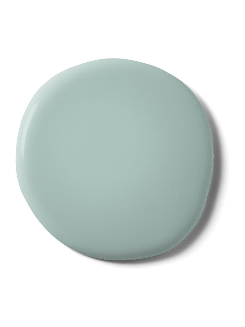 Graham & Brown Daisy Field matt emulsion paint - British product