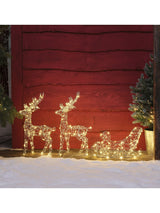 Next Lights4fun Warm White Set of 2 Beaded Micro Reindeer & Sleigh Decorative Lights- Buy online at McGrocer