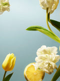 Rituals Dutch Tulip & Yuzu Easter Gift Set (British brand)