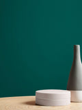Graham & Brown Eva green eggshell paint - British product