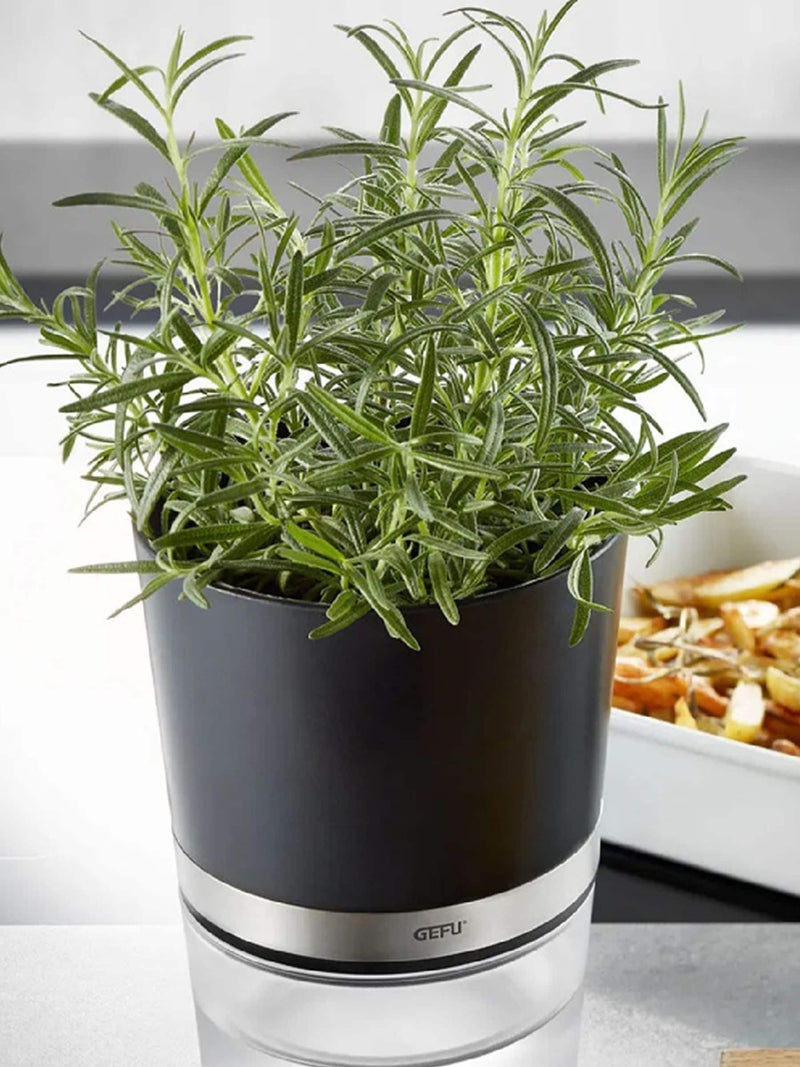 GEFU Botanico Herb Pot self-watering system, UK version
