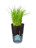 GEFU Botanico Herb Pot self-watering system, UK version