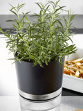 GEFU Botanico Herb Pot self-watering system, UK version
