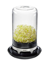 Next GEFU Bivita Sprouting Jar Black or Silver- Buy online at McGrocer