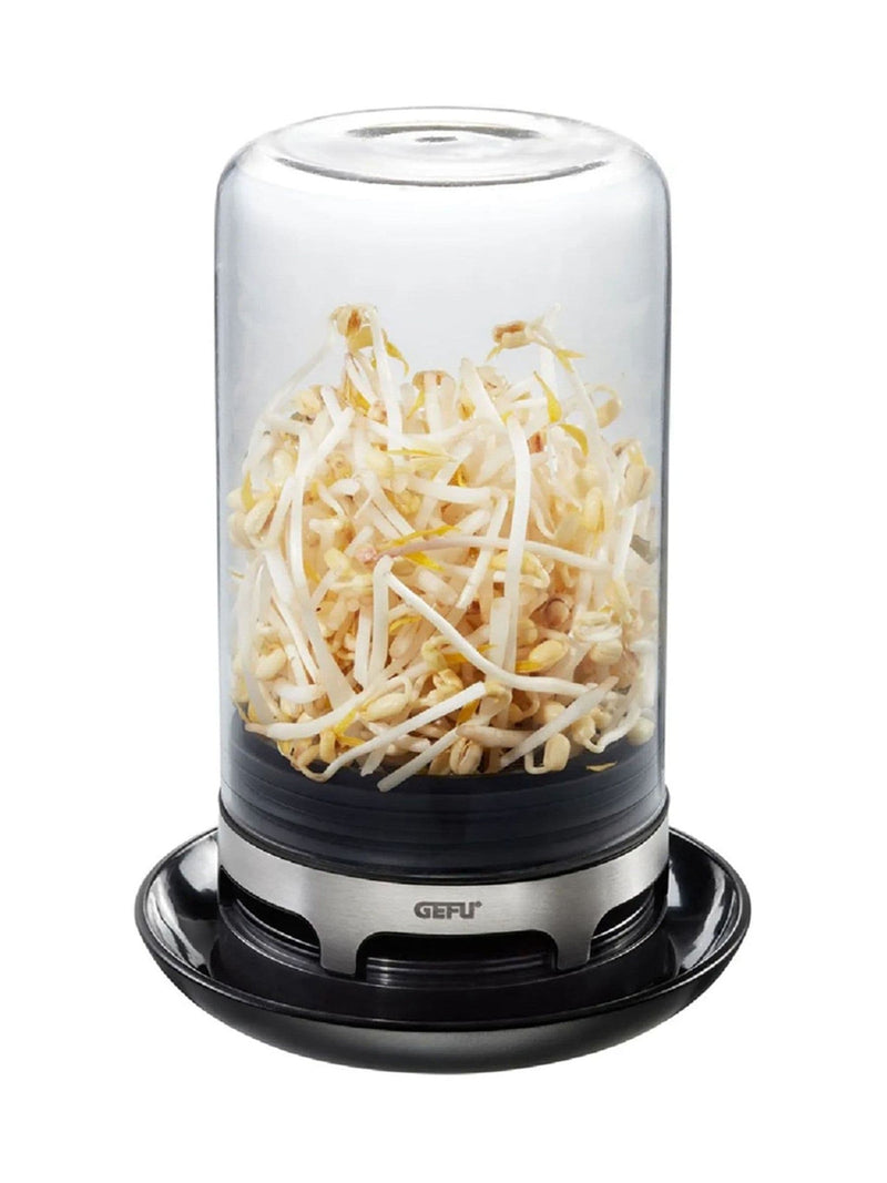 GEFU sprouting jar in black or silver - British product