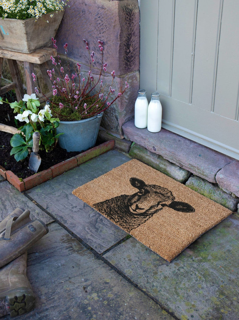 Artsy Mats brown lamb doormat 60x40cm, imported from the UK
