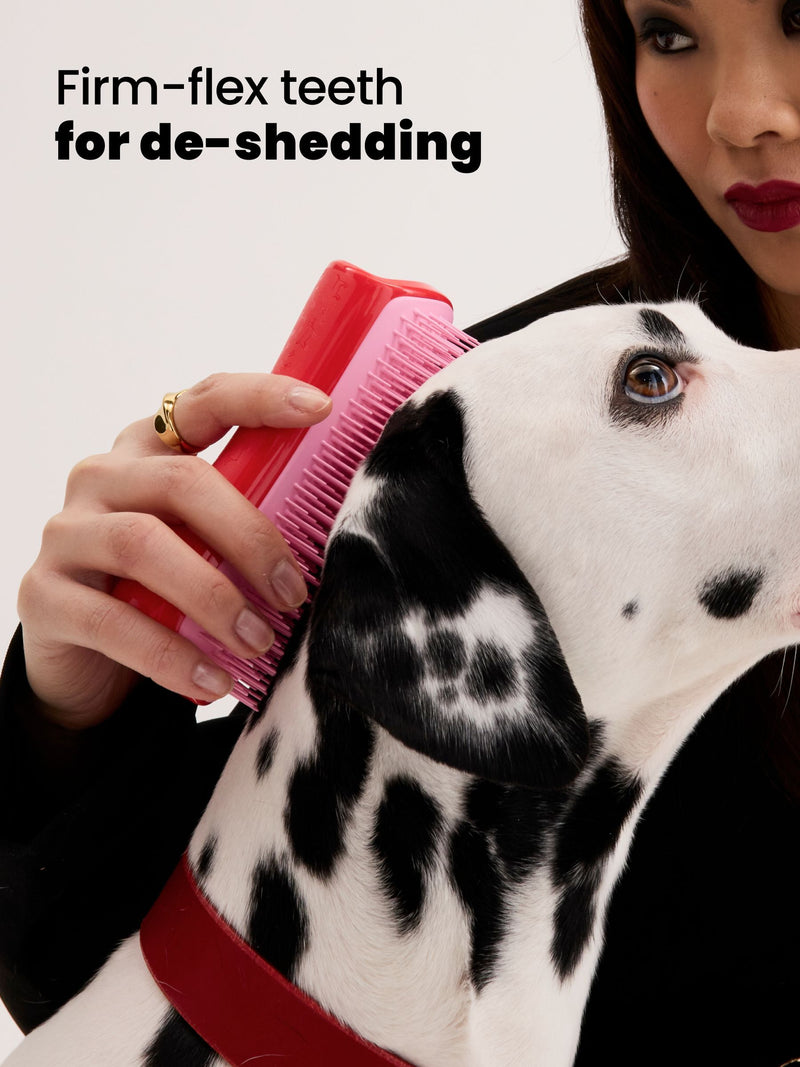 Tangle Teezer de-shedding dog grooming brush large, imported from the UK