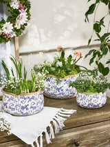 Next Dibor Set of 3 Blue Ceramic Planters- Buy online at McGrocer