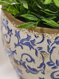 Dibor Blue Botanical Plant Pot 17cm, imported from the UK