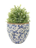 Dibor Blue Botanical Plant Pot 17cm, imported from the UK