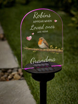 Next Loveabode Personalised Robin Memorial Solar Garden Sign- Buy online at McGrocer