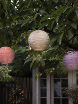 Next Lights4fun Set of 3 Multi Pastel Tyvek Lanterns- Buy online at McGrocer