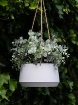 Next Scottish Everlastings Ltd Green Outdoor Faux Hanging Eucalyptus in Pot- Buy online at McGrocer