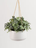 Scottish Everlastings faux hanging eucalyptus pot (British brand)